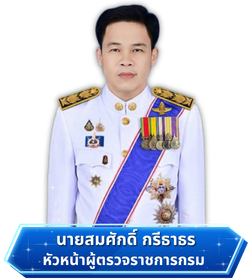 หัวหน้าผู้ตรวจราชการ