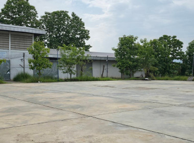 วันที่ 4 มิถุนายน 2568 นายคีตวุฒิ นับแสง ผู้ตรวจราชการกรม ... พารามิเตอร์รูปภาพ 12