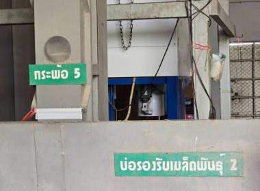 วันที่ 4 มิถุนายน 2568 นายคีตวุฒิ นับแสง ผู้ตรวจราชการกรม ... พารามิเตอร์รูปภาพ 7