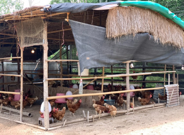 วันที่ 9 มิถุนายน 2568 นายณัฐพล แป้นนอก ผู้ตรวจราชการกรม ... พารามิเตอร์รูปภาพ 17