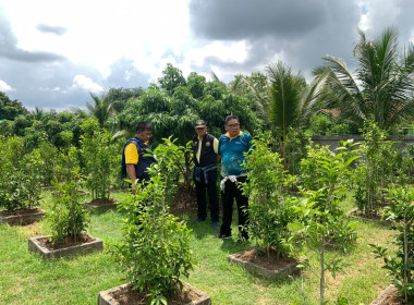 วันที่ 9 มิถุนายน 2568 นายณัฐพล แป้นนอก ผู้ตรวจราชการกรม ... พารามิเตอร์รูปภาพ 18