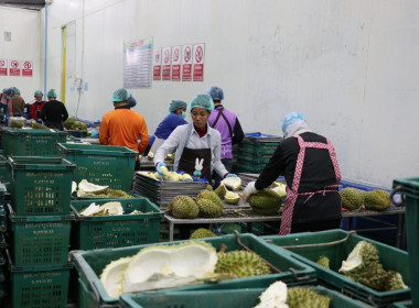 วันที่ 24 มิถุนายน 2568 นายอนุรัตน์ เลื่อนลอย ... พารามิเตอร์รูปภาพ 7