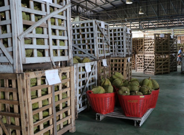 วันที่ 24 มิถุนายน 2568 นายอนุรัตน์ เลื่อนลอย ... พารามิเตอร์รูปภาพ 10