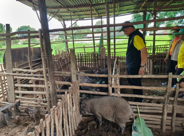 วันที่ 1 สิงหาคม 2568 นายณัฐพล แป้นนอก ผู้ตรวจราชการกรม ... พารามิเตอร์รูปภาพ 6