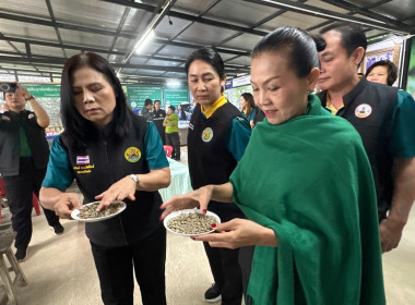 วันพุธที่ 6 สิงหาคม 2568 เวลา 10.00 น. นายคีตวุฒิ นับแสง ... พารามิเตอร์รูปภาพ 3