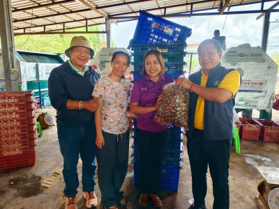 วันที่ 13 สิงหาคม 2568 นายคีตวุฒิ นับแสง ผู้ตรวจราชการกรม ... พารามิเตอร์รูปภาพ 1