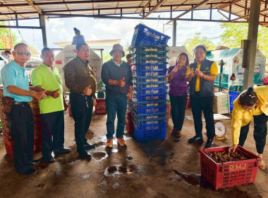 วันที่ 13 สิงหาคม 2568 นายคีตวุฒิ นับแสง ผู้ตรวจราชการกรม ... พารามิเตอร์รูปภาพ 8