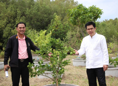 วันที่ 19 สิงหาคม 2568 นายสมศักดิ์ กรีธาธร ... พารามิเตอร์รูปภาพ 7