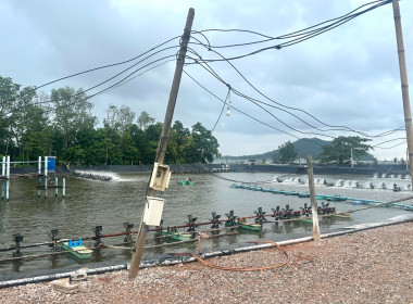 วันที่ 21 สิงหาคม 2568 นายอนุรัตน์ เลื่อนลอย ... พารามิเตอร์รูปภาพ 6