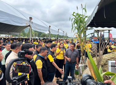 วันที่ 25 สิงหาคม 2568 นายกรกฎ ชยุตรารัตน์ ผู้ตรวจราชการกรม ... พารามิเตอร์รูปภาพ 7