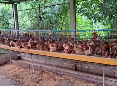 วันที่ 27 สิงหาคม 2568 นายณัฐพล แป้นนอก ผู้ตรวจราชการกรม ... พารามิเตอร์รูปภาพ 13