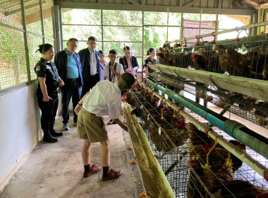 วันที่ 29 สิงหาคม 2568 นายศุภธีร์ อยู่วัฒนา ... พารามิเตอร์รูปภาพ 9