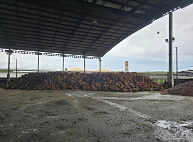 วันที่ 1 กันยายน 2568 นายรุ่งโรจน์ สรวุฒิพิบูลย์ ... พารามิเตอร์รูปภาพ 6