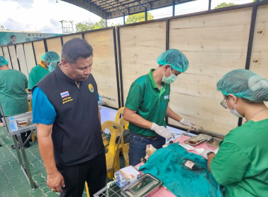 วันที่ 3 ตุลาคม 2568 นายธนะวิทย์ ชูทอง ผู้ตรวจราชการกรม ... พารามิเตอร์รูปภาพ 8