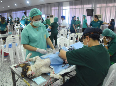 วันที่ 20 ตุลาคม 2568 นายคีตวุฒิ นับแสง ผู้ตรวจราชการกรม ... พารามิเตอร์รูปภาพ 16