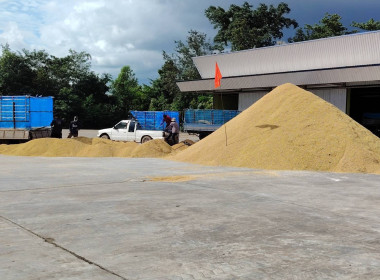 วันที่ 30 ตุลาคม​ 2568​ นายณัฐ​พล​ แป้น​นอก​ ... พารามิเตอร์รูปภาพ 15