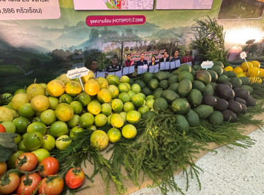 วันที่ 9 พฤศจิกายน 2568 นายคีตวุฒิ นับแสง ผู้ตรวจราชการกรม ... พารามิเตอร์รูปภาพ 14