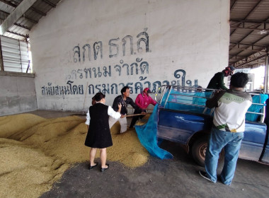 วันที่ 11 พฤศจิกายน​ 2568​ (ช่วงบ่าย) นายณัฐพล แป้นนอก​ ... พารามิเตอร์รูปภาพ 6