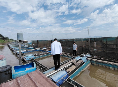  วันที่ 13 พฤศจิกายน​ 2568 นายณัฐพล แป้นนอก​ ... พารามิเตอร์รูปภาพ 3