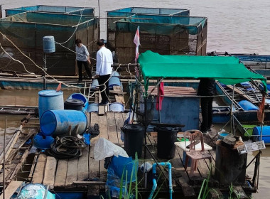  วันที่ 13 พฤศจิกายน​ 2568 นายณัฐพล แป้นนอก​ ... พารามิเตอร์รูปภาพ 5