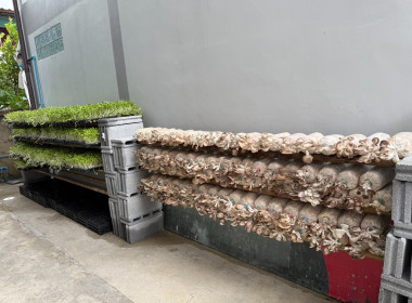 วันที่ 17 พฤศจิกายน 2568 นายมาโนช ชลอวงษ์ ผู้ตรวจราชการกรม ... พารามิเตอร์รูปภาพ 13