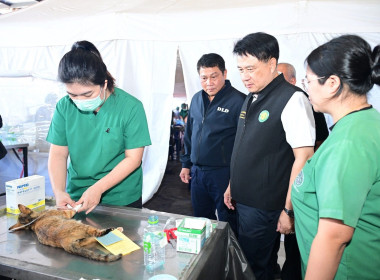 วันที่ 21 พฤศจิกายน 2568 นายคีตวุฒิ นับแสง ผู้ตรวจราชการกรม ... พารามิเตอร์รูปภาพ 6