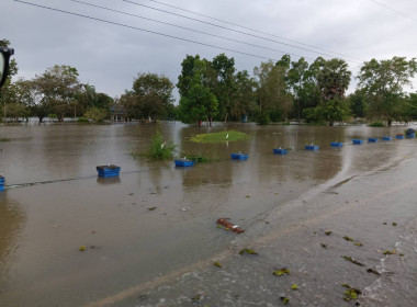 วันที่ 26 พฤศจิกายน 2568 นายธนะวิทย์ ชูทอง ... พารามิเตอร์รูปภาพ 12