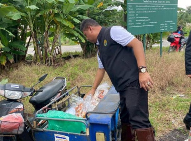 วันที่ 27 พฤศจิกายน 2568 นายธนะวิทย์ ชูทอง ผู้ตรวจราชการกรม ... พารามิเตอร์รูปภาพ 11