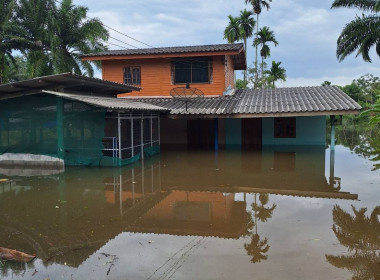 วันที่ 27 พฤศจิกายน 2568 นายธนะวิทย์ ชูทอง ผู้ตรวจราชการกรม ... พารามิเตอร์รูปภาพ 19