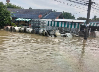  วันที่ 28 พฤศจิกายน 2568 นายธนะวิทย์ ชูทอง ... พารามิเตอร์รูปภาพ 14