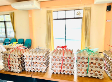 วันที่ 30 พฤศจิกายน 2568 นายธนะวิทย์ ชูทอง ผู้ตรวจราชการกรม ... พารามิเตอร์รูปภาพ 11