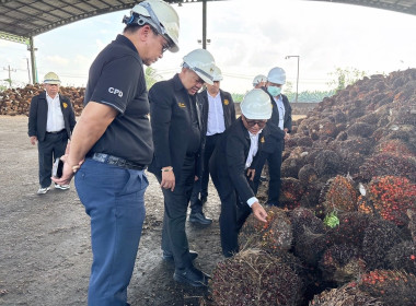 วันที่ 9 ธันวาคม 2568 นายวงศ์ชัย ไชยโย ผู้ตรวจราชการกรม ... พารามิเตอร์รูปภาพ 8