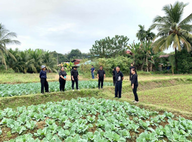 วันที่ 11 ธันวาคม 2568 นายกรกฎ ชยุตรารัตน์ ผู้ตรวจราชการกรม ... พารามิเตอร์รูปภาพ 4