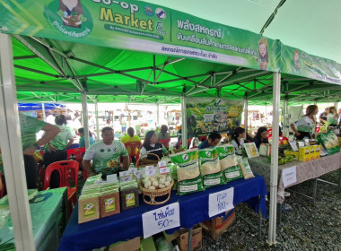 วันที่ 25 ธันวาคม 2568 นายวงศ์ชัย ไชยโย ผู้ตรวจราชการกรม ... พารามิเตอร์รูปภาพ 13