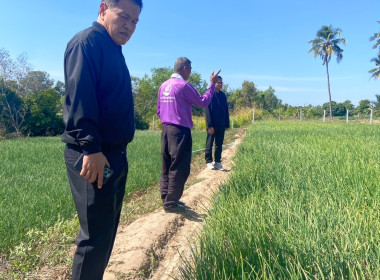 วันที่ 29 ธันวาคม 2568 นายมาโนช ชลอวงษ์ ผู้ตรวจราชการกรม ... พารามิเตอร์รูปภาพ 1