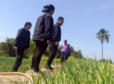 วันที่ 29 ธันวาคม 2568 นายมาโนช ชลอวงษ์ ผู้ตรวจราชการกรม ... พารามิเตอร์รูปภาพ 3