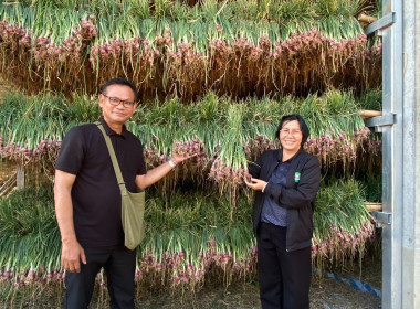 วันที่ 29 ธันวาคม 2568 นายมาโนช ชลอวงษ์ ผู้ตรวจราชการกรม ... พารามิเตอร์รูปภาพ 4