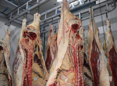 วันที่ 31 ธันวาคม 2568 นายคีตวุฒิ นับแสง ผู้ตรวจราชการกรม ... พารามิเตอร์รูปภาพ 9