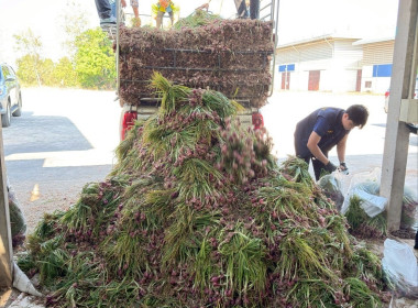 วันที่ 13 มกราคม 2569 นายวงศ์ชัย ไชยโย ผู้ตรวจราชการกรม ... พารามิเตอร์รูปภาพ 6