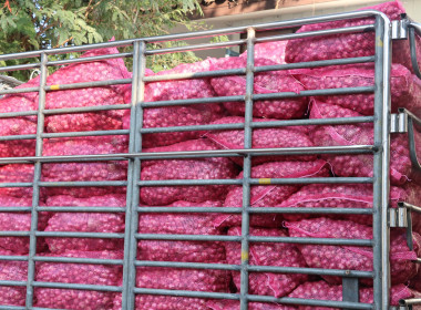 วันที่ 27 มกราคม 2569 นายมาโนช ชลอวงษ์ ผู้ตรวจราชการกรม ... พารามิเตอร์รูปภาพ 3