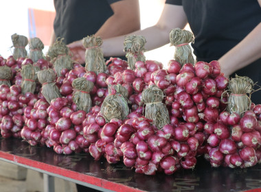 วันที่ 27 มกราคม 2569 นายมาโนช ชลอวงษ์ ผู้ตรวจราชการกรม ... พารามิเตอร์รูปภาพ 4