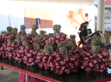 วันที่ 27 มกราคม 2569 นายมาโนช ชลอวงษ์ ผู้ตรวจราชการกรม ... พารามิเตอร์รูปภาพ 6