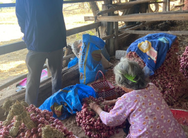 วันที่ 28 มกราคม 2569 นายมาโนช ชลอวงษ์ ผู้ตรวจราชการกรม ... พารามิเตอร์รูปภาพ 3