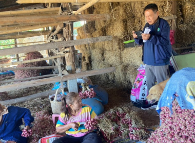 วันที่ 28 มกราคม 2569 นายมาโนช ชลอวงษ์ ผู้ตรวจราชการกรม ... พารามิเตอร์รูปภาพ 5