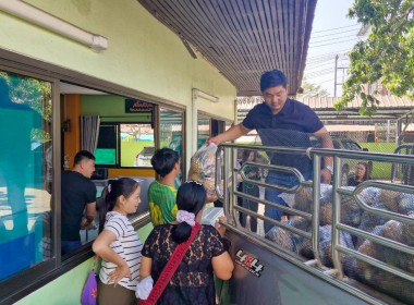 วันที่ 3 กุมภาพันธ์ 2569 นายคีตวุฒิ นับแสง ผู้ตรวจราชการกรม ... พารามิเตอร์รูปภาพ 1