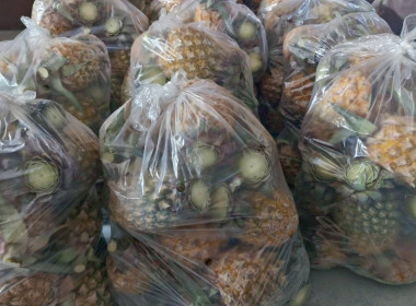 วันที่ 3 กุมภาพันธ์ 2569 นายคีตวุฒิ นับแสง ผู้ตรวจราชการกรม ... พารามิเตอร์รูปภาพ 2