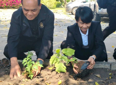 วันที่ 5 กุมภาพันธ์​ 2569 นาย​ณัฐ​พล​ แป้น​นอก ... พารามิเตอร์รูปภาพ 4