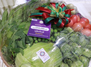 วันที่ 24 กุมภาพันธ์ 2569 นายกรกฎ ชยุตรารัตน์ ... พารามิเตอร์รูปภาพ 11