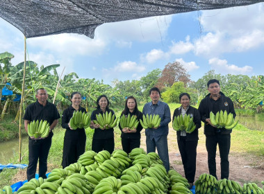 วันที่ 27 กุมภาพันธ์ 2569 นางสาวอภิวันท์ ธะนะสิทธิศักดิ์ ... พารามิเตอร์รูปภาพ 1