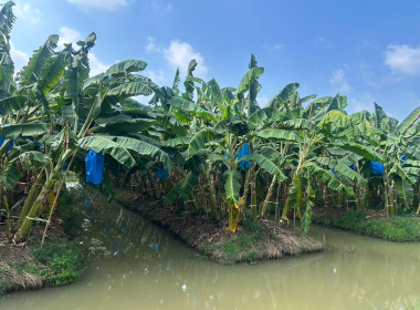 วันที่ 27 กุมภาพันธ์ 2569 นางสาวอภิวันท์ ธะนะสิทธิศักดิ์ ... พารามิเตอร์รูปภาพ 7